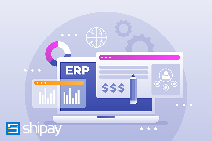 bolepix para erp